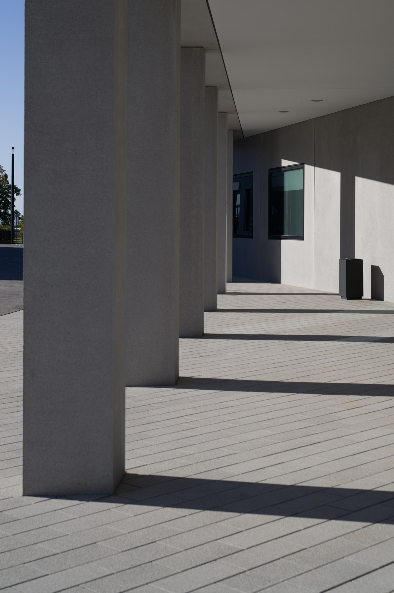 Concrete pillars casting long shadows along a minimalist walkway.